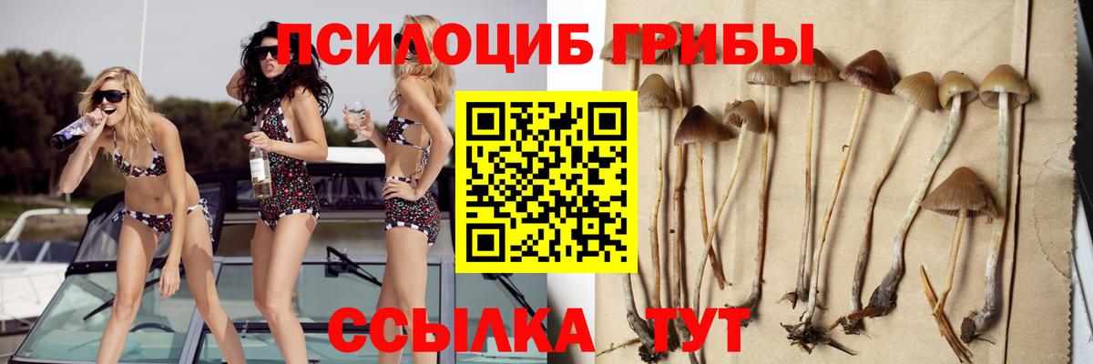 Псилоцибиновые грибы GOLDEN TEACHER  купить  цена  Вход с VPN  Владивосток  Псилоцибиновые грибы GOLDEN TEACHER 